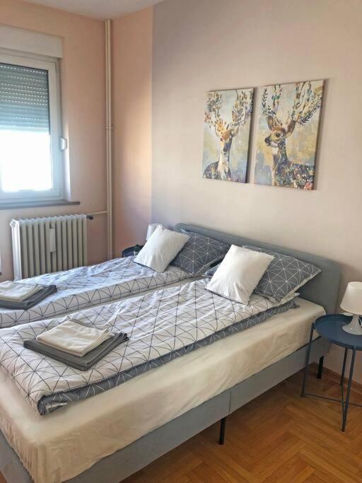 בלגרד Quince Apartment-Free Parking-City Center מראה חיצוני תמונה